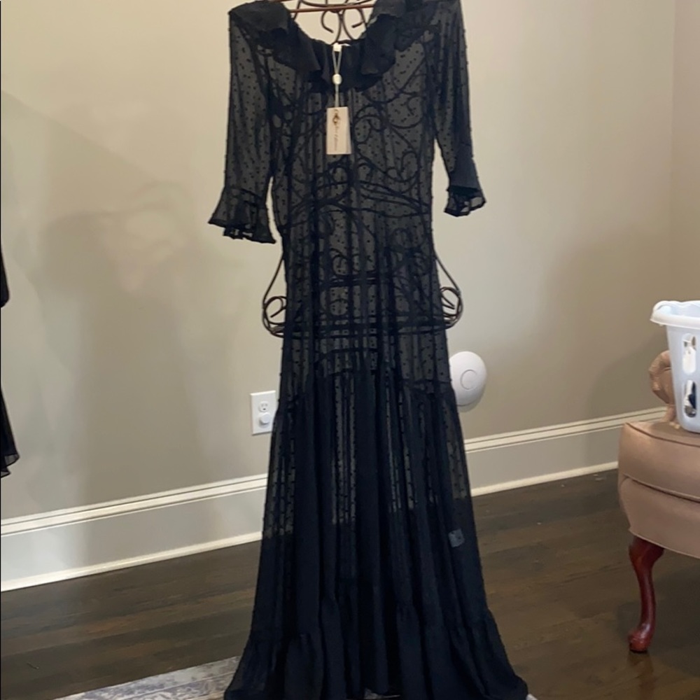 For Love and Lemons Sheer Maxi Dress